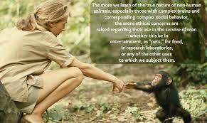 These Amazing Jane Goodall Quotes Will Inspire You To Fight For Animals And Nature Jane Goodall Quotes Jane Goodall Animal Quotes