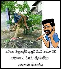 Funny whatsapp dp sinhala / sinhala funny whatsapp status download sinhala bio para whatsapp / check spelling or type a new query. Jok Tok Sinhala Off 59
