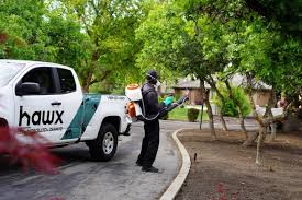 Hawx Pest Control Dallas-Fort Worth, TX | Dallas Pest Control