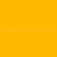 Image result for Yellow 2022 Fleet