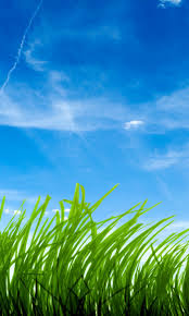 2.run android emulator on pc, laptop or tablet. Green Grass Live Wallpaper Amazon Com Appstore For Android
