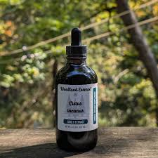 Image result for Cissus guerkeana