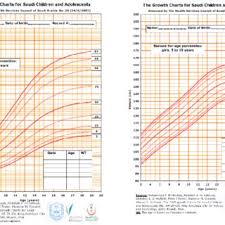 Growth Chart Showing The Height 100 Cm And Weight 10 Kg
