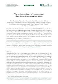 Image result for Adenopodia schlechteri