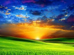 Untuk melihat detail lagu beautiful klik salah satu judul yang cocok, kemudian untuk link download beautiful ada di. Beautiful Backgrounds Wallpapers Wallpaper Cave