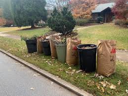 In these cases, waste companies will provide you with a bin and often limit how much waste they will take. Yard Waste City Of Decatur Ga
