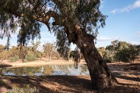 Maybe you would like to learn more about one of these? New South Wales Ii April 2019 Landy 2 Xplore Com
