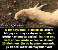 Mehmetcik Turksilahlikuvvetleri Terorlemucadele Terorist Pkk Sozcu Meclis Miletvekili Tbmm Ismetinonu Ataturk Cumhuri Askeri Tarih Okuma Alintilari