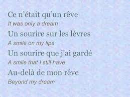 From the last birthday party by cadavalamorg. Celine Dion Ce N Etait Qu Un Reve English Translation Youtube