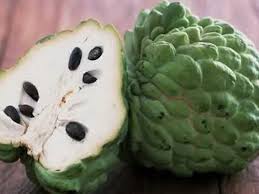The cherimoya's flesh is white and creamy (that's why it's commonly called a custard apple), and has numerous dark brown seeds embedded in it. Cherimoya Perrys Fruit Nut Nursery