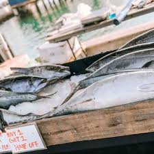 0.1 miles from tuna harbor dockside market. Tuna Harbor Dockside Market 317 Photos 79 Reviews Seafood Markets 598 Harbor Ln San Diego Ca