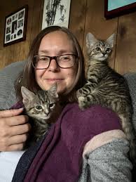 Good Morning everyone! Meet Sprout, the brown and white tabby. She was  taken to a local animal control at 2 days old. Someone found her in their  yard and waited for the