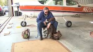 Dog injured by gunfire in Alabama flown to Tampa for care and adoption