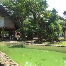 0125376151 (hidayah) cerita ini menceritakan dua keluarga yang bercuti di salak denai chalet,yan kedah yang mengambil : Puteri Ayu Chalet Yan Campground