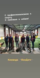 shkola obucheniya dressirovke fandogs onlajn ochno movie posters instagram poster