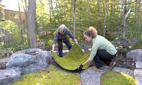 We did not find results for: Start Your Own Moss Lawn Laidback Gardener