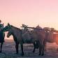 Bobby Stone Film Series: The Road to Patagonia event image