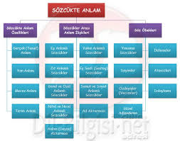 Sozcukte Anlam Konu Anlatimi Konu Testi Ve Kavram Haritalari 5 Sinif 6 Sinif 7 Sinif 8 Sinif Sozcukte Anlam Konu Anlatimi So 5 Sinif Altinci Sinif Sinif
