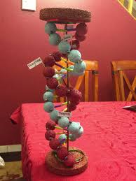 Pin By Timandcarly Erickson On School Projects Biology Projects Dna Model Project Dna Project