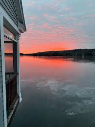 Image result for Lintonia