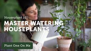 Before you pack your bags, do a test run. Houseplant 101 How To Water Houseplants Properly Ep 120 Youtube