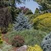 Find this pin and more on garden needles by waltraudbauer5. 1