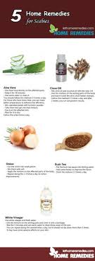 Scabies mites infest human skin. 10 Scabies Ideas Scabies Home Remedies Scabies Treatment