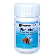 Fish Min Minocycline 50 Mg Capsules 30 Count Fish Antibiotics Bacterial Diseases Capsule