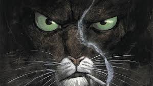 Used books starting at $3.59. Blacksad Volume 1 Algum Lugar Em Meio As Sombras Review Suco De Manga