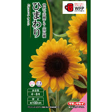 Yahoo!ショッピング - Yahoo! JAPAN