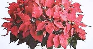 استغفر الله وأتوب اليه