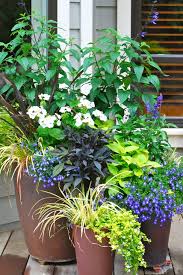 A wide variety of bee friendly flowers options are available to you, such as modern. Blooming Container Gardens That Welcome Butterflies And Bees