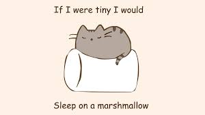 You can choose the image format you need. Pusheen The Cat Hd Wallpapers Wallpaper Cave