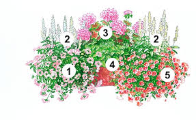 Trendige Blumenkasten Zum Nachpflanzen Garten Pflanzkasten Blumenkasten Bepflanzen Balkon Blumen