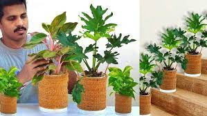 You can make your own potting mixture that provides. How To Make Indoor Plant Pots Easy And Beutiful Malayalam Youtube