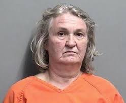 Earlham woman allegedly injures officer in defending mom