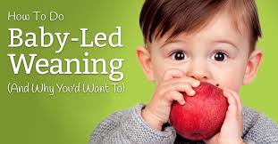 How To Do Baby Led Weaning And Why You D Want To