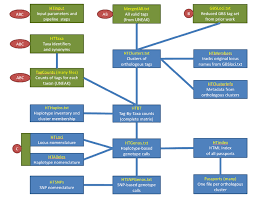 flow chart showing input files green output files blue