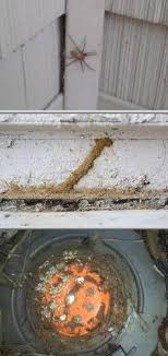 Top pest control services in white plains, ny. 64 Pest Control In New York Ideas Pest Control Services Pest Control Pests