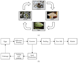 Sensors Free Full Text A Multi Sensor System For