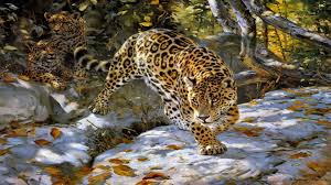 jaguar wallpaper hd 01754 baltana