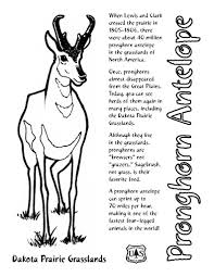 Pronghorn resort has received recognition as the premier resort community in the. Antelope 22669 Animals Printable Coloring Pages