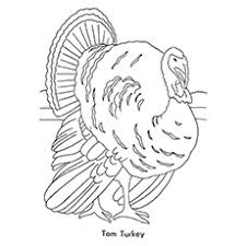 The coloring page is printable and can be used in the classroom or at home. Top 25 Turkey Coloring Pages For Toddlers