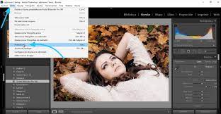 Si tus fotos en blanco y negro por ejemplo despliega el módulo izquierdo donde se encuentran los ajustes preestablecidos (presets) o el navegador. Como Instalar Presets En Lightroom Windows Mac