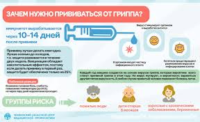 12 научных причин делать зарядку каждый день: полезные факты и эффекты для здоровья