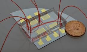 Rates are more than 75% if the cause is human papillomavirus (hpv) and less than 50% if the cause is something else. Saliva Test To Detect Mouth And Throat Cancer Earlier And Easier Healthcare In Europe Com