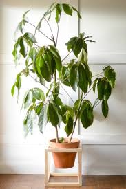 Porte Plantes A Faire Soi Meme Sellettes Et Suspensions Pour Pots Jardinieres Diy Porte Plantes Jardiniere En Bois