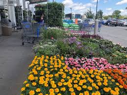 Yes, walmart stores sell flowers. Us Walmart Vs Uk Asda We Shopped At Both To Compare The Sister Stores