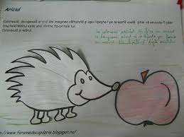See more ideas about desene, foaie de colorat, pagini de colorat cu flori. Ariciul Magda Bodea