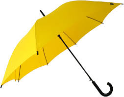 You have to buy the umbrella, put it somewhere. Pin On Si Supieran Lo Que Estoy Pensando